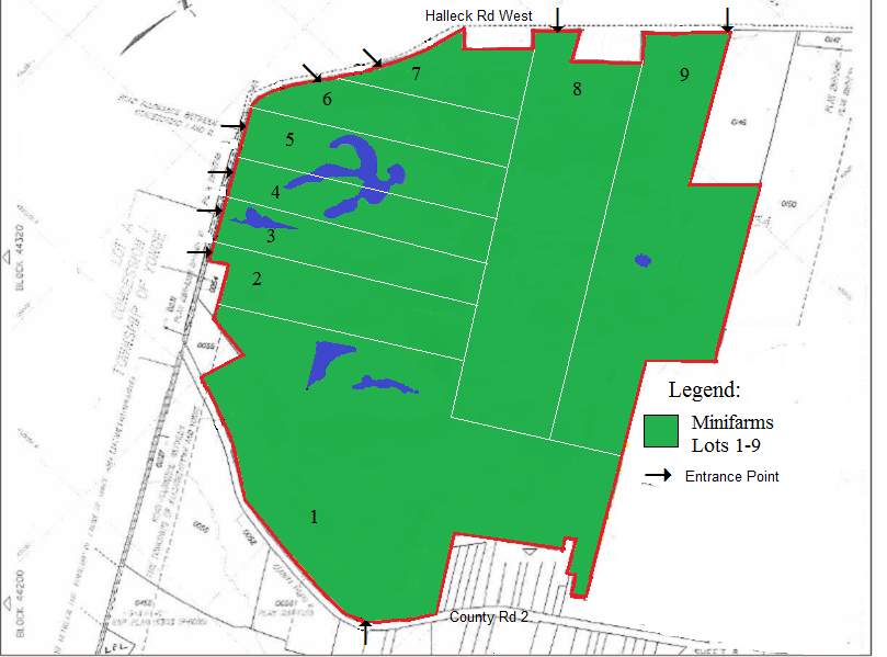 Option 3: Mini-Farms - No Internal Road